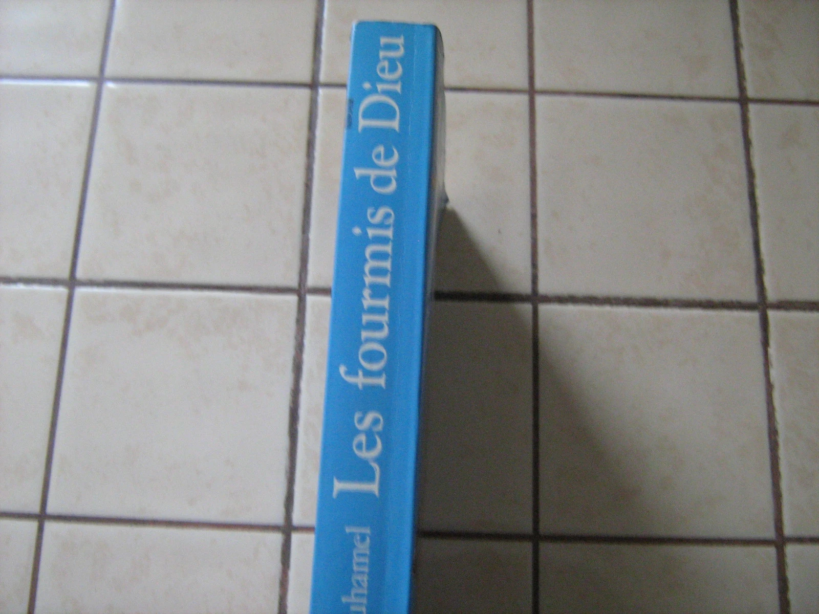 les fourmis de dieu – photo 2
